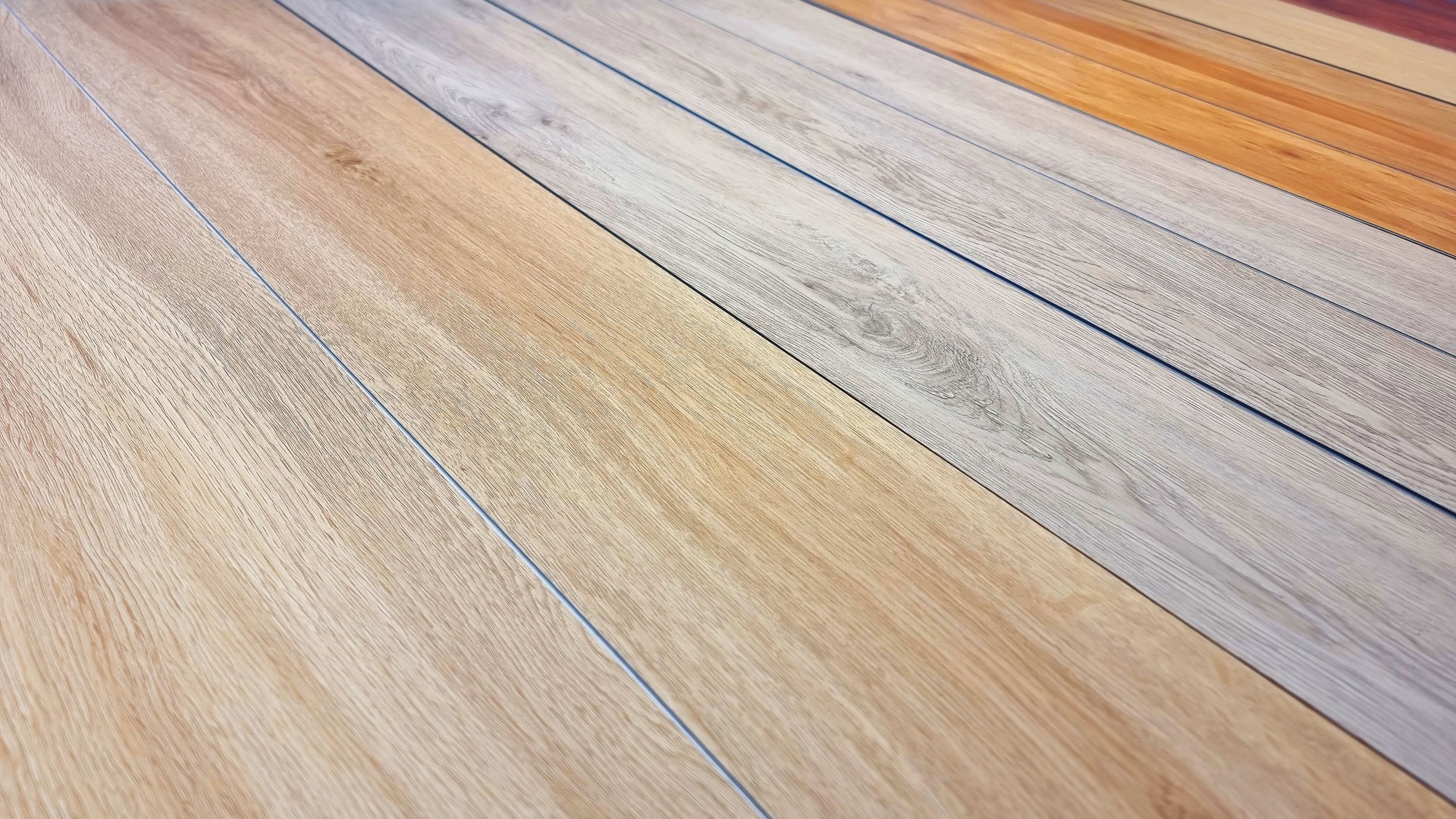 chart color of spc vinyl flooring tiles plank sample showing multi color and texture of wood, close up view. wood texture for flooring and interior design. production of wooden floor materials.